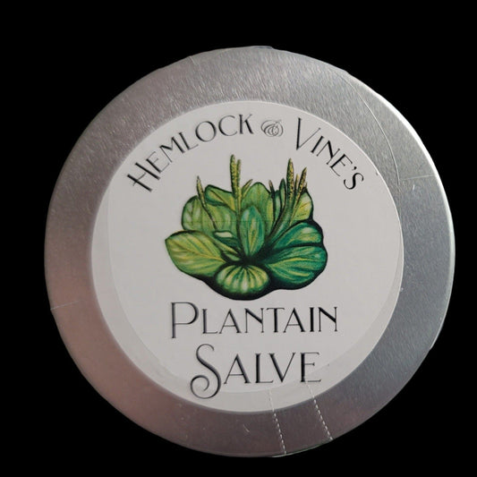 Hemlock & Vine's Plantain Salve