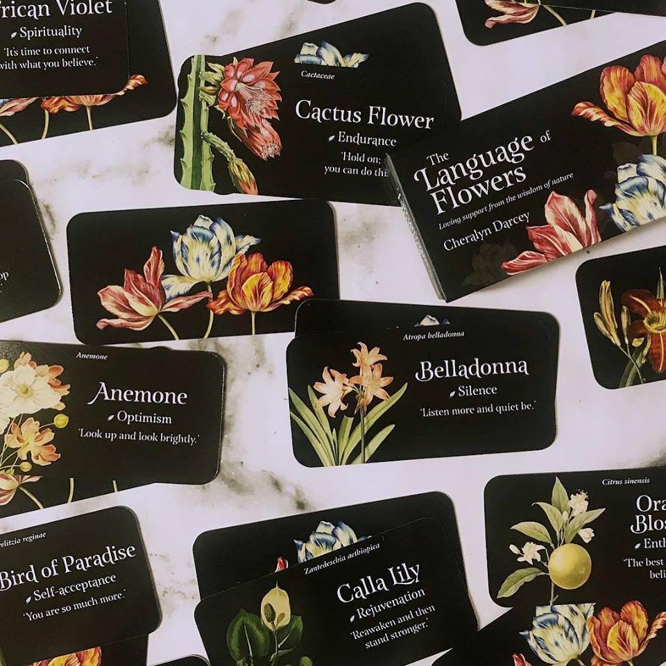 The Language Of Flowers Cards